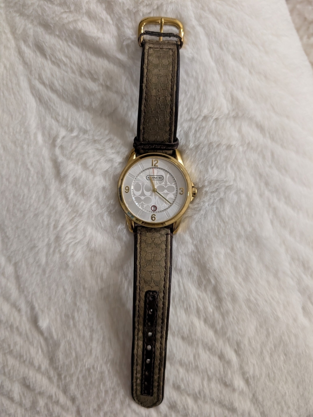 Coach Watch - Picture 4 of 9
